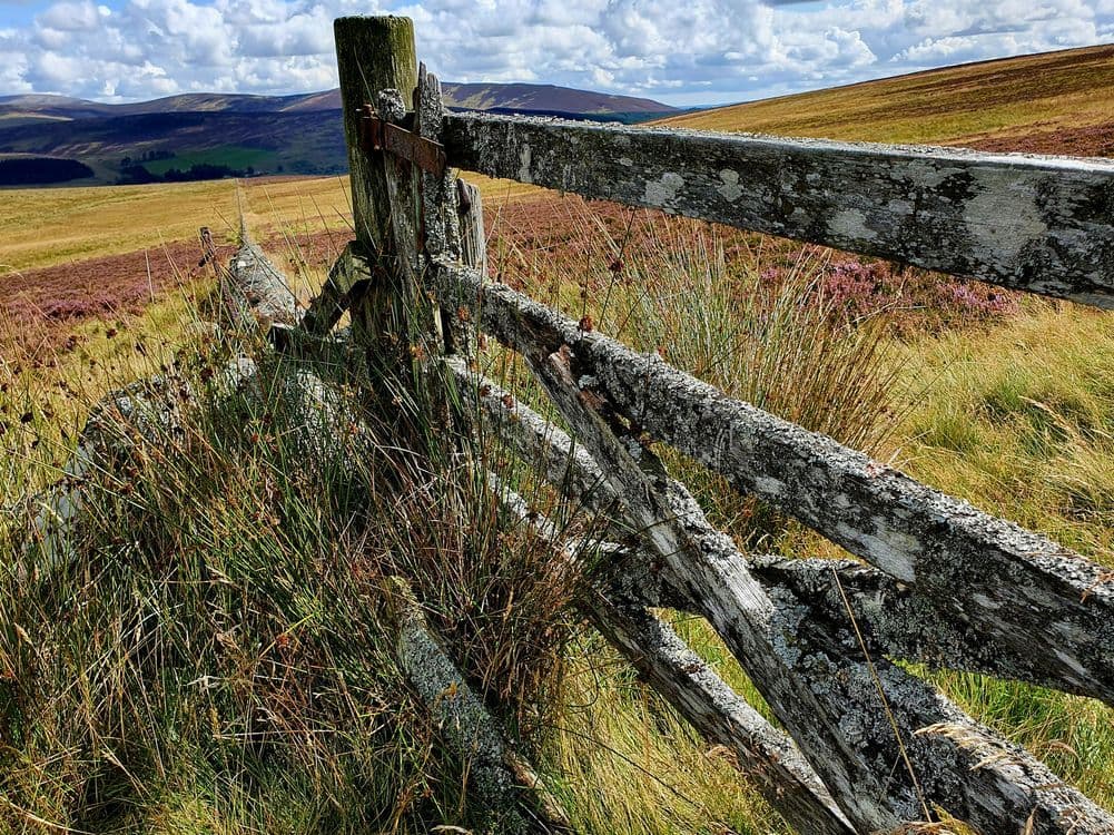 A familiar image of Blairgowrie phone numbers