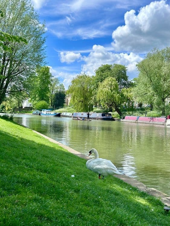 A familiar image of March phone numbers