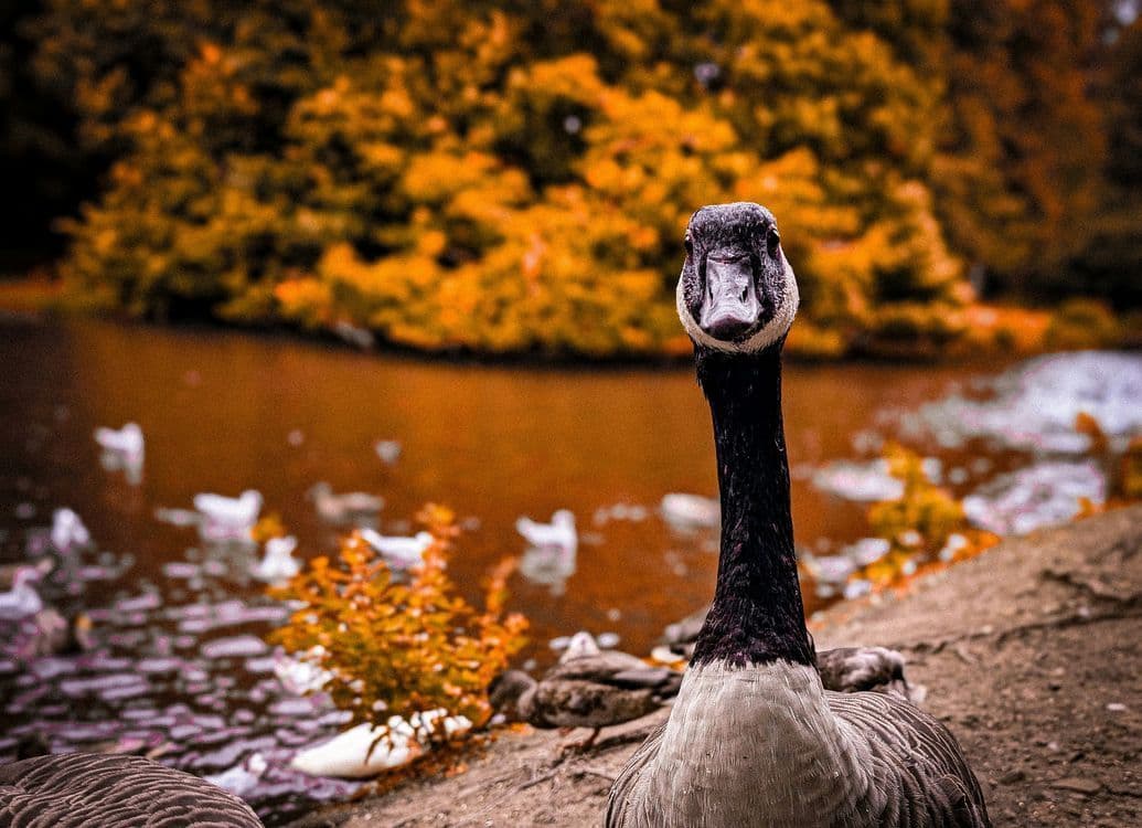 A familiar image of Sedgefield phone numbers