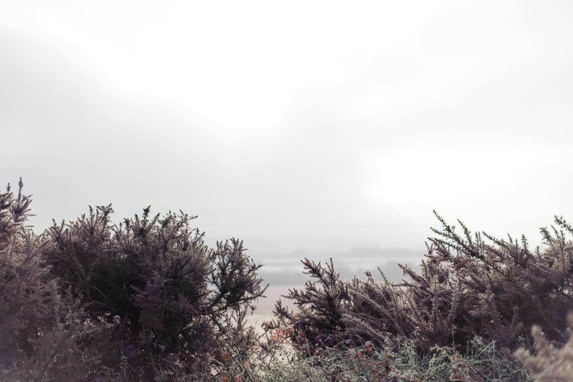 A familiar image of Pulborough phone numbers