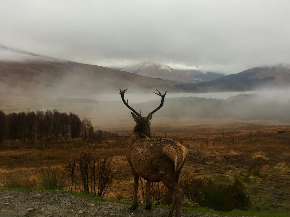 A familiar image of Kilmelford phone numbers