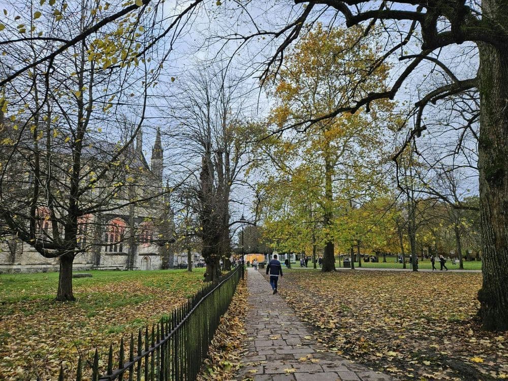 A familiar image of Winchester phone numbers