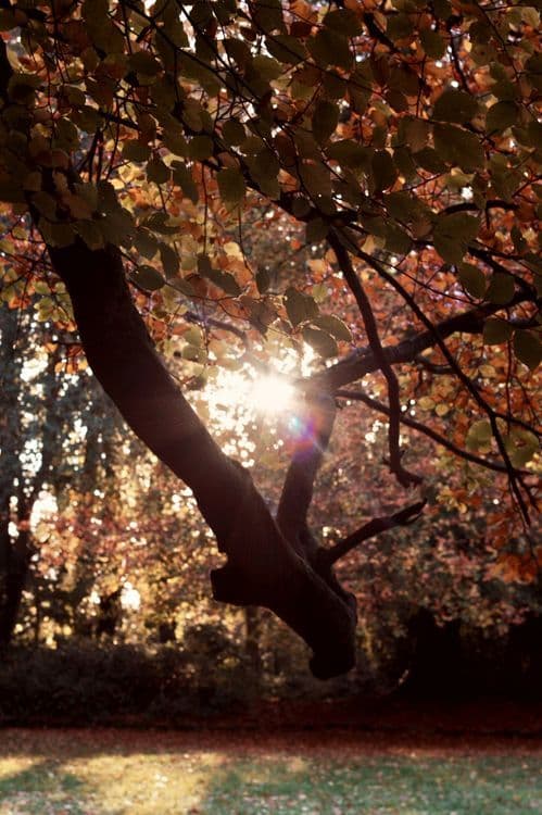 A familiar image of Carrickmore phone numbers