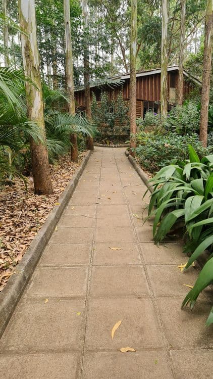 A familiar image of Kampala phone numbers