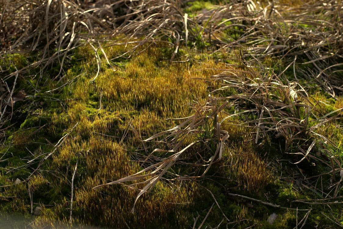 A familiar image of Saxmundham phone numbers