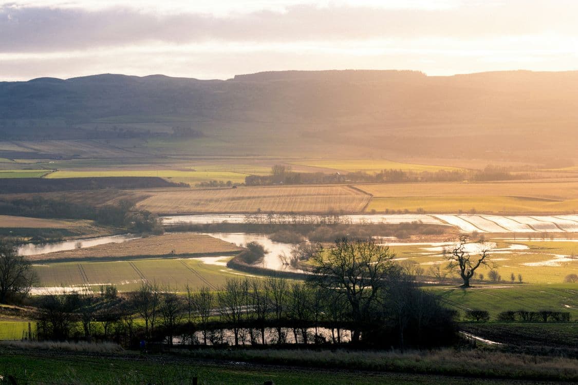 A familiar image of Perth phone numbers