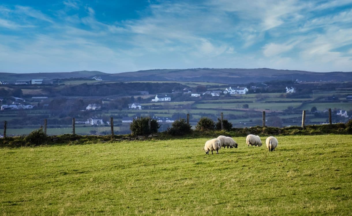 A familiar image of Antrim phone numbers